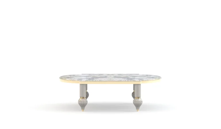 Elsiyum Coffee Table