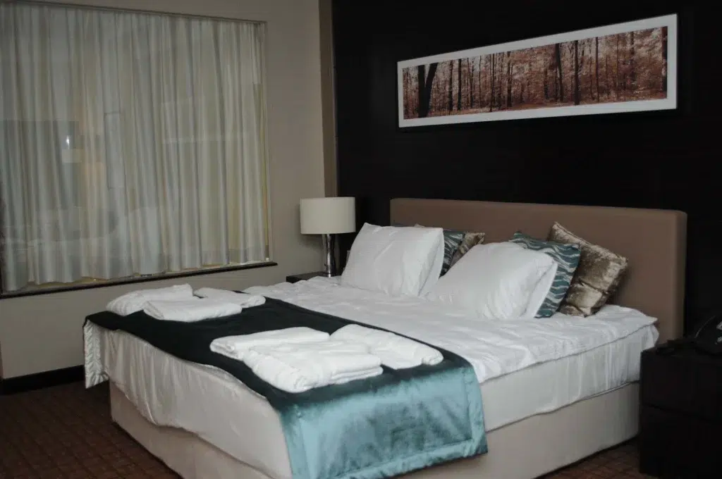 Millennium Hotel Tbilisi 17