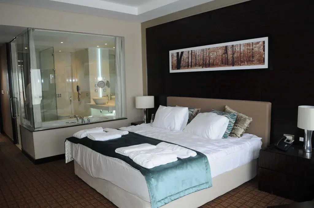 Millennium Hotel Tbilisi 9