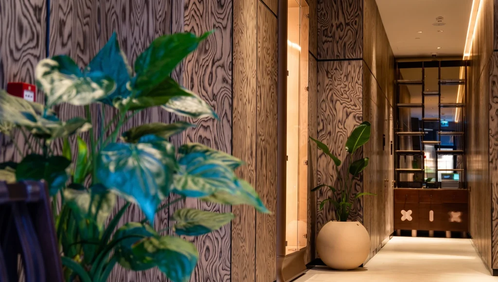 KITA MU – Zebrano Furniture project implementation